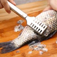 Fish Scale Remover Stainless Steel | Fast Fish Shaver