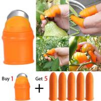 Finger Cutter Silicone | Knife Protector | Vegetable Cutter